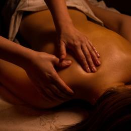 SPA-программа "Хранитель степей" SPA-программа "Хранитель степей"