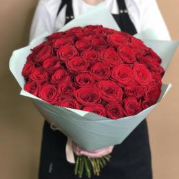 Красные розы 71 шт Красные розы 71 шт