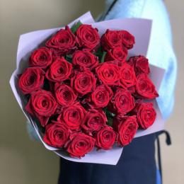 Красные розы 25 шт Красные розы 25 шт