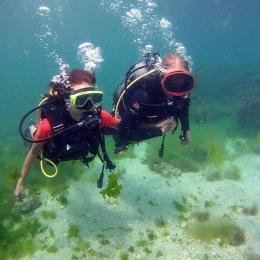 Профессиональная подводная видеосъемка Профессиональная подводная видеосъемка